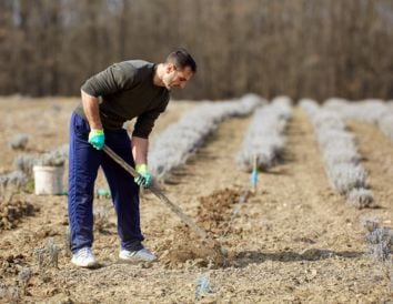El sector ecológico francés respalda a Ecovalia en su defensa de la producción ecológica española