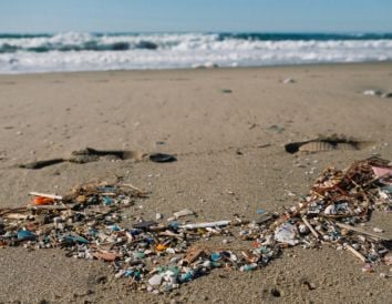 Las organizaciones ecologistas reclaman más coordinación en la respuesta sobre el impacto ambiental de los pellets