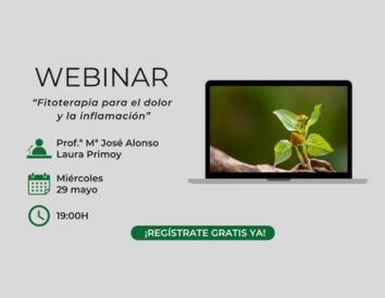 webinar cien x cien