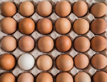 ecovalia huevos ecológicos