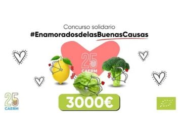 caerm concurso web