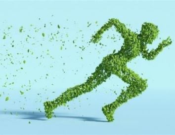 informe de transición ecológica