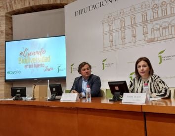 programa escolar