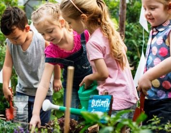 sector ecológico educación